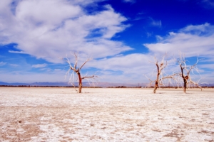 trees desert branches sky clouds dry lake 4k 1541117293 300x200 - trees, desert, branches, sky, clouds, dry lake 4k - Trees, Desert, branches