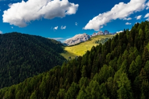 trees mountains clouds summer 4k 1541114085 300x200 - trees, mountains, clouds, summer 4k - Trees, Mountains, Clouds