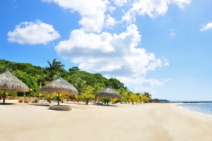 tropics beach palm trees sand 4k 1541117556 300x200 - tropics, beach, palm trees, sand 4k - tropics, palm trees, Beach