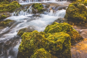waterfall moss stones flow 4k 1541116573 300x200 - waterfall, moss, stones, flow 4k - Waterfall, Stones, moss