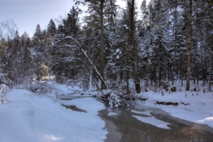 winter snow river forest landscape 4k 1541117539 300x200 - winter, snow, river, forest, landscape 4k - Winter, Snow, River