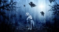 wolf predator forest 4k 1542238415 200x110 - Wolf Predator Forest 4k - wolf wallpapers, photography wallpapers, hd-wallpapers, forest wallpapers, animals wallpapers, 4k-wallpapers