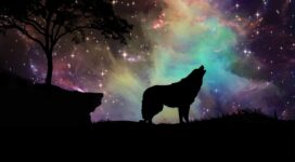 wolf starry sky silhouette art 4k 1542824454 272x150 - wolf, starry sky, silhouette, art 4k - Wolf, starry sky, Silhouette