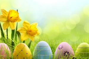 holiday easter egg 4k 1543946387 300x200 - Holiday Easter Egg 4k - eggs wallpapers, easter wallpapers, celebrations wallpapers