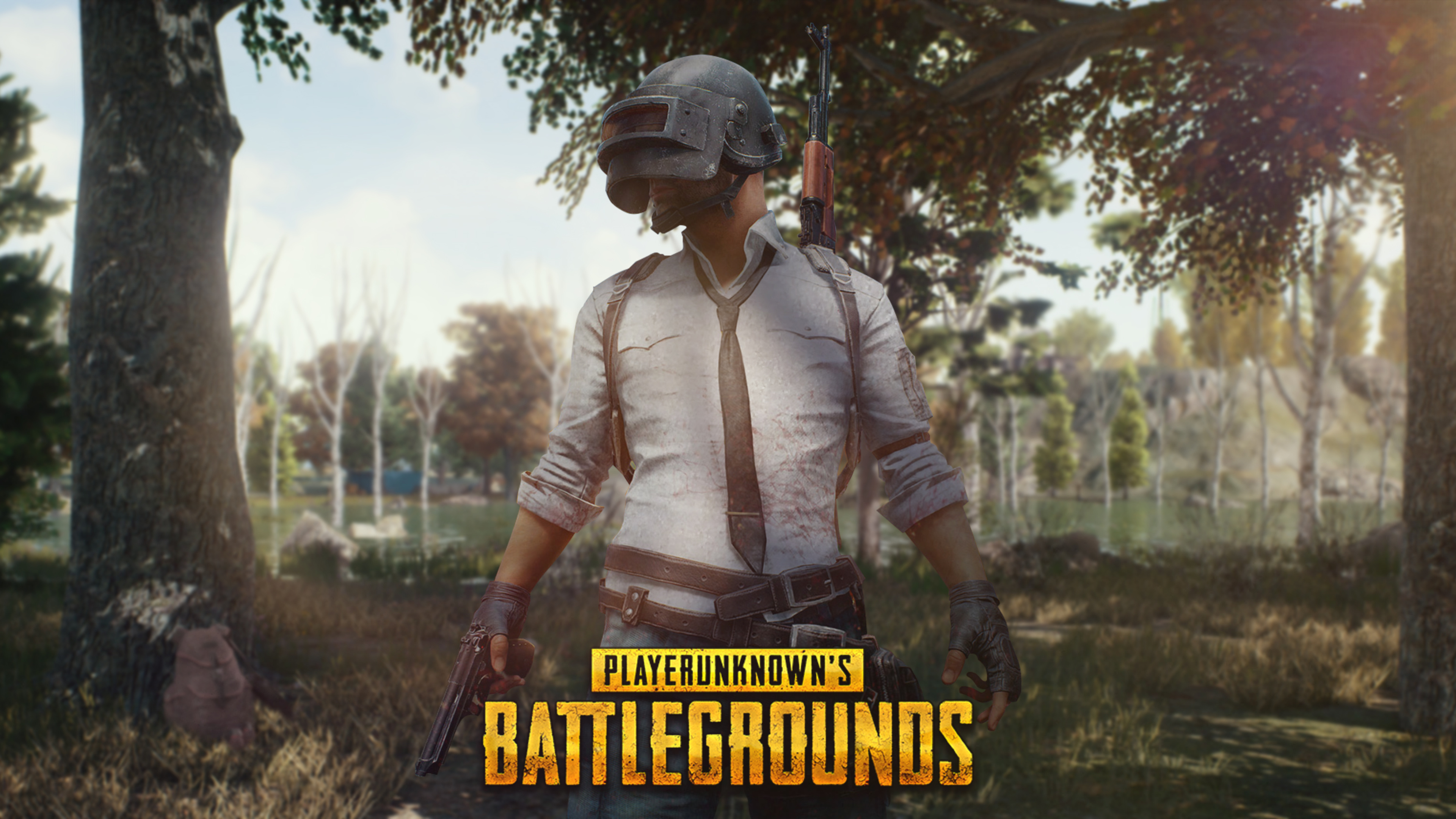 Wallpaper 4k Pubg Mobile Helmet Guy 4k! 2018 Games Wallpapers Games - pubg mobile helmet guy 4k