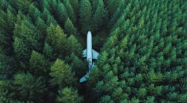 plane in middle of forest 4k 1547938006 272x150 - Plane In Middle Of Forest 4k - planes wallpapers, nature wallpapers, hd-wallpapers, forest wallpapers, 4k-wallpapers