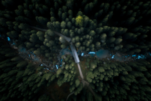 aerial view forest 4k 1551644306 300x200 - Aerial View Forest 4k - photography wallpapers, nature wallpapers, hd-wallpapers, forest wallpapers, behance wallpapers, aerial wallpapers, 4k-wallpapers
