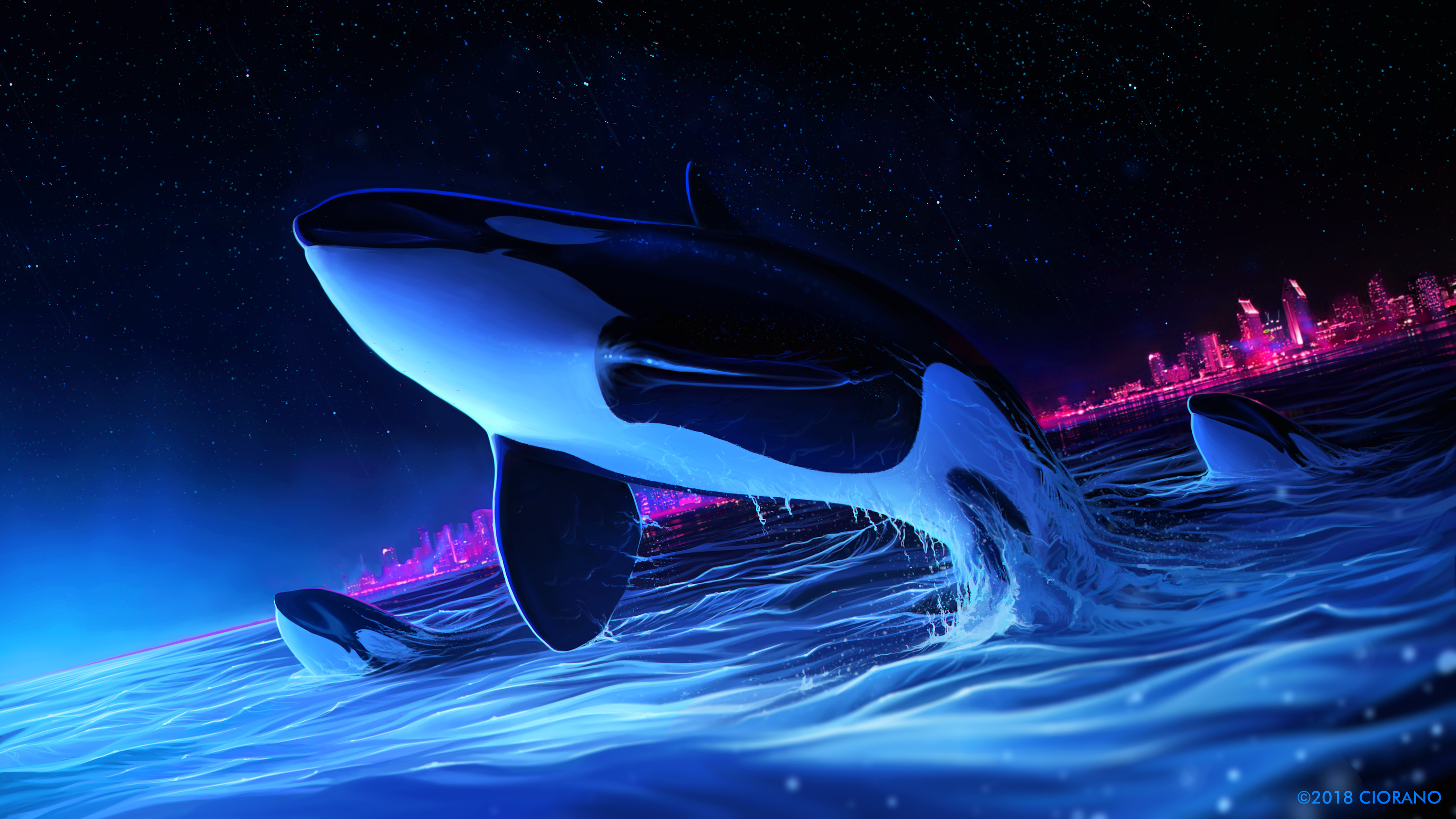 dolphin night orca whale digital art 4k 1551642516 - Dolphin Night Orca Whale Digital Art 4k - whale wallpapers, hd-wallpapers, dolphin wallpapers, digital art wallpapers, deviantart wallpapers, artwork wallpapers, artist wallpapers