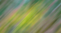 green motion abstract 4k 1555207885 200x110 - Green Motion Abstract 4k - hd-wallpapers, green wallpapers, deviantart wallpapers, abstract wallpapers, 5k wallpapers, 4k-wallpapers