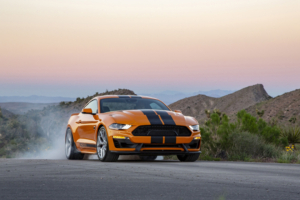2019 shelby gt s 1558220500 300x200 - 2019 Shelby GT S - shelby wallpapers, hd-wallpapers, ford wallpapers, ford mustang wallpapers, cars wallpapers, 4k-wallpapers, 2019 cars wallpapers