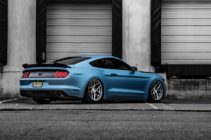 ford mustang gt rfx11 4k 1557260928 300x200 - Ford Mustang GT RFX11 4k - mustang wallpapers, hd-wallpapers, ford mustang wallpapers, cars wallpapers, 5k wallpapers, 4k-wallpapers, 2019 cars wallpapers