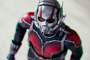 ant man a soldier size of an insect 1574938899 300x200 - Ant Man A Soldier Size Of An Insect -