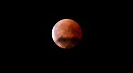 blood moon during night time 1574943223 272x150 - Blood Moon During Night Time -