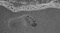 footprint on sand beach 1574938701 200x110 - Footprint On Sand Beach -