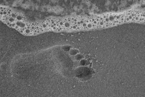 footprint on sand beach 1574938701 300x200 - Footprint On Sand Beach -