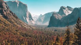 forest mountain yosemite valley 1574937455 272x150 - Forest Mountain Yosemite Valley -