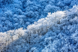 frost snow 1574937873 300x200 - Frost Snow -