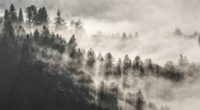 mist winter trees in mountains 1574937876 200x110 - Mist Winter Trees In Mountains -