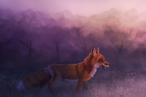 misty red fox 1574937969 300x200 - Misty Red Fox -