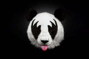 panda dark 1574938106 300x200 - Panda Dark -