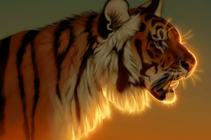 tiger evening glow 1574937965 300x200 - Tiger Evening Glow -