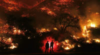 two man standing in front of forest fire 1574938702 200x110 - Two Man Standing In Front Of Forest Fire -