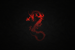 dragon leather background 1575661446 300x200 - Dragon Leather Background -