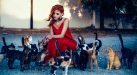 girl in red dress playing with cats 1575665946 272x150 - Girl In Red Dress Playing With Cats -
