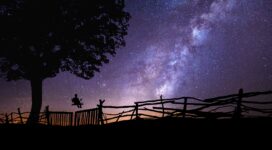 starry sky silhouette swing tree night 1579107241 272x150 - starry sky, silhouette, swing, tree, night - swing 4k wallpaper, starry sky, Silhouette