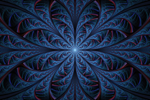 night hawk blue spiral 1596927828 300x200 - Night Hawk Blue Spiral -