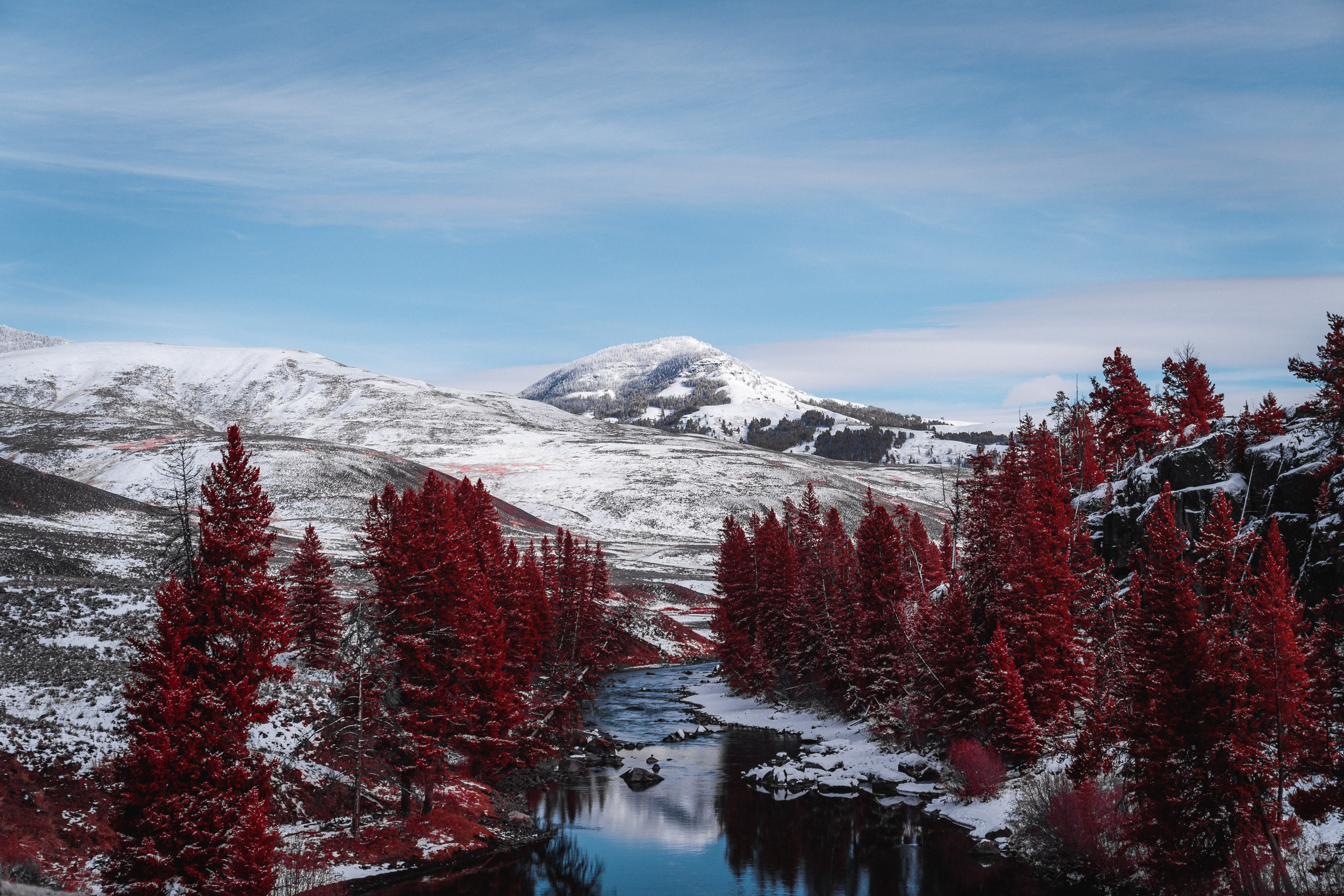 Yellowstone 1080P 2K 4K 5K HD wallpapers free download  Wallpaper Flare