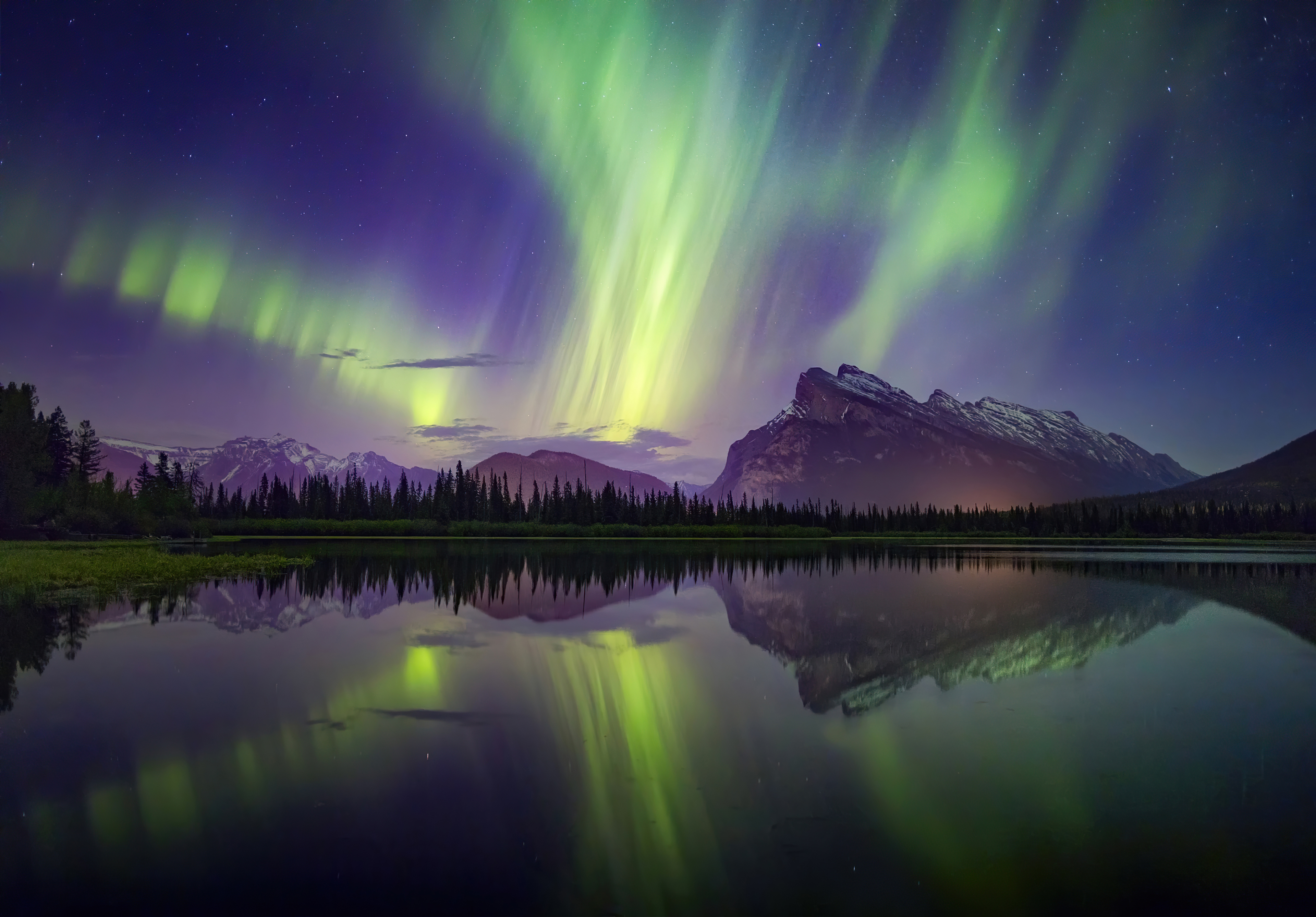 banff aurora borealis tour