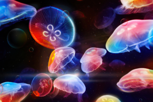 dancing jelly fish 4k 1603014719 300x200 - Dancing Jelly Fish 4k - Dancing Jelly Fish 4k wallpapers