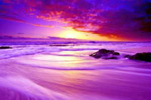 purple beach sunset 4k 1602504544 300x200 - Purple Beach Sunset 4k - Purple Beach Sunset 4k wallpapers