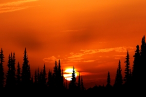 relaxing orange sunset evening 4k 1602606095 300x200 - Relaxing Orange Sunset Evening 4k - Relaxing Orange Sunset Evening 4k wallpapers