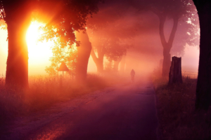 sun rays mist road 4k 1602504494 300x200 - Sun Rays Mist Road 4k - Sun Rays Mist Road 4k wallpapers