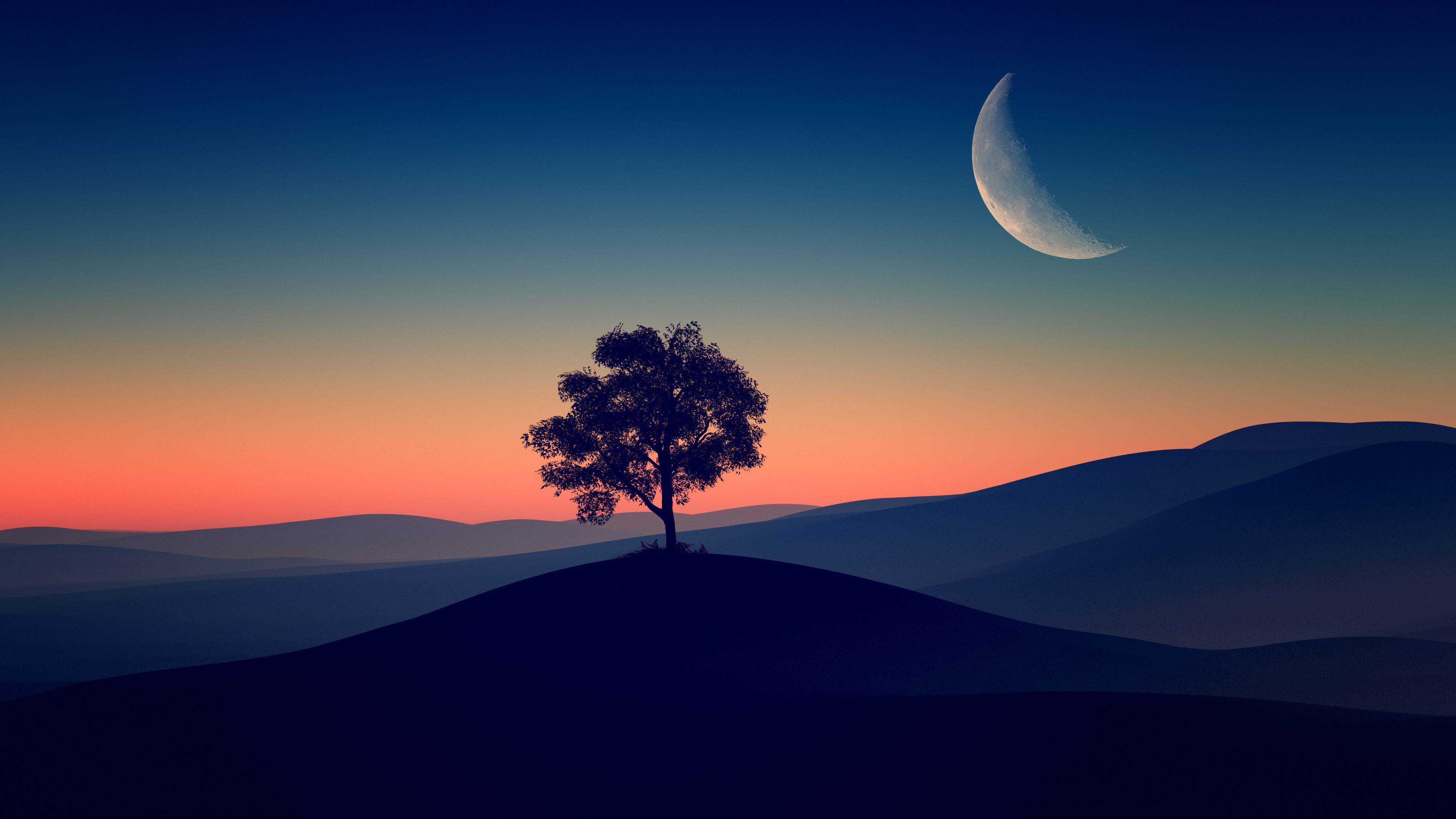 Tree Alone Dark Evening 4k Tree Alone Dark Evening 4k Wallpapers