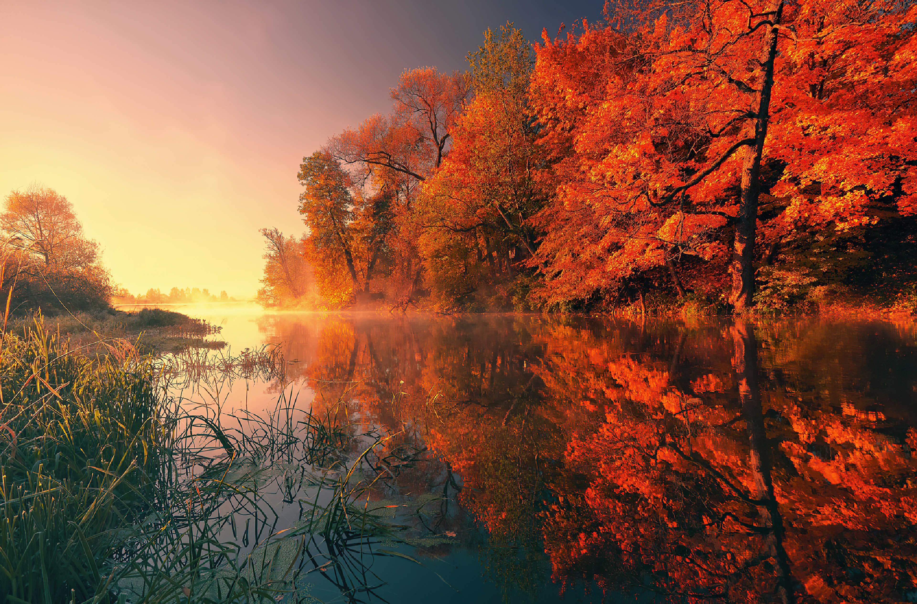 Trees Fall Reflection Autumn 4k Trees Fall Reflection Autumn 4k Wallpapers