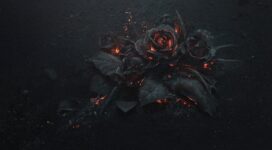 burning roses 4k 1606512510 272x150 - Burning Roses 4k - Burning Roses 4k wallpapers