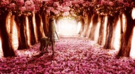 pink flowers path 4k 1606508463 272x150 - Pink Flowers Path 4k - Pink Flowers Path 4k wallpapers
