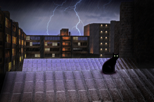 black cat on rooftop lightning 4k 1614617398 300x200 - Black Cat On Rooftop Lightning 4k - Black Cat On Rooftop Lightning 4k wallpapers