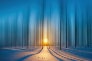 cold snow trees 4k 1615197824 300x200 - Cold Snow Trees 4k - Cold Snow Trees 4k wallpapers