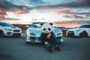panda boy with cars 4k 1616091752 300x200 - Panda Boy With Cars 4k - Panda Boy With Cars 4k wallpapers