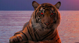 tiger glowing red eyes 4k 1616872018 272x150 - Tiger Glowing Red Eyes 4k - Tiger Glowing Red Eyes 4k wallpapers