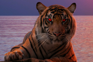 tiger glowing red eyes 4k 1616872018 300x200 - Tiger Glowing Red Eyes 4k - Tiger Glowing Red Eyes 4k wallpapers
