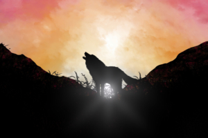 fox howling sunrise 4k 1618131120 300x200 - Fox Howling Sunrise 4k - Fox Howling Sunrise 4k wallpapers