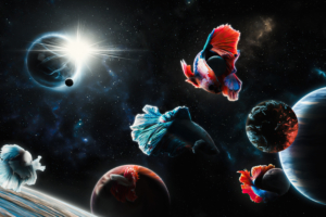 space fish 4k 1641808998 300x200 - Space Fish 4k - Space Fish wallpapers, Space Fish 4k wallpapers