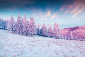 trees pink colorful cold hills snow 4k 1644787510 300x200 - Trees Pink Colorful Cold Hills Snow 4k - Trees Pink Colorful Cold Hills Snow wallpapers, Trees Pink Colorful Cold Hills Snow 4k wallpapers