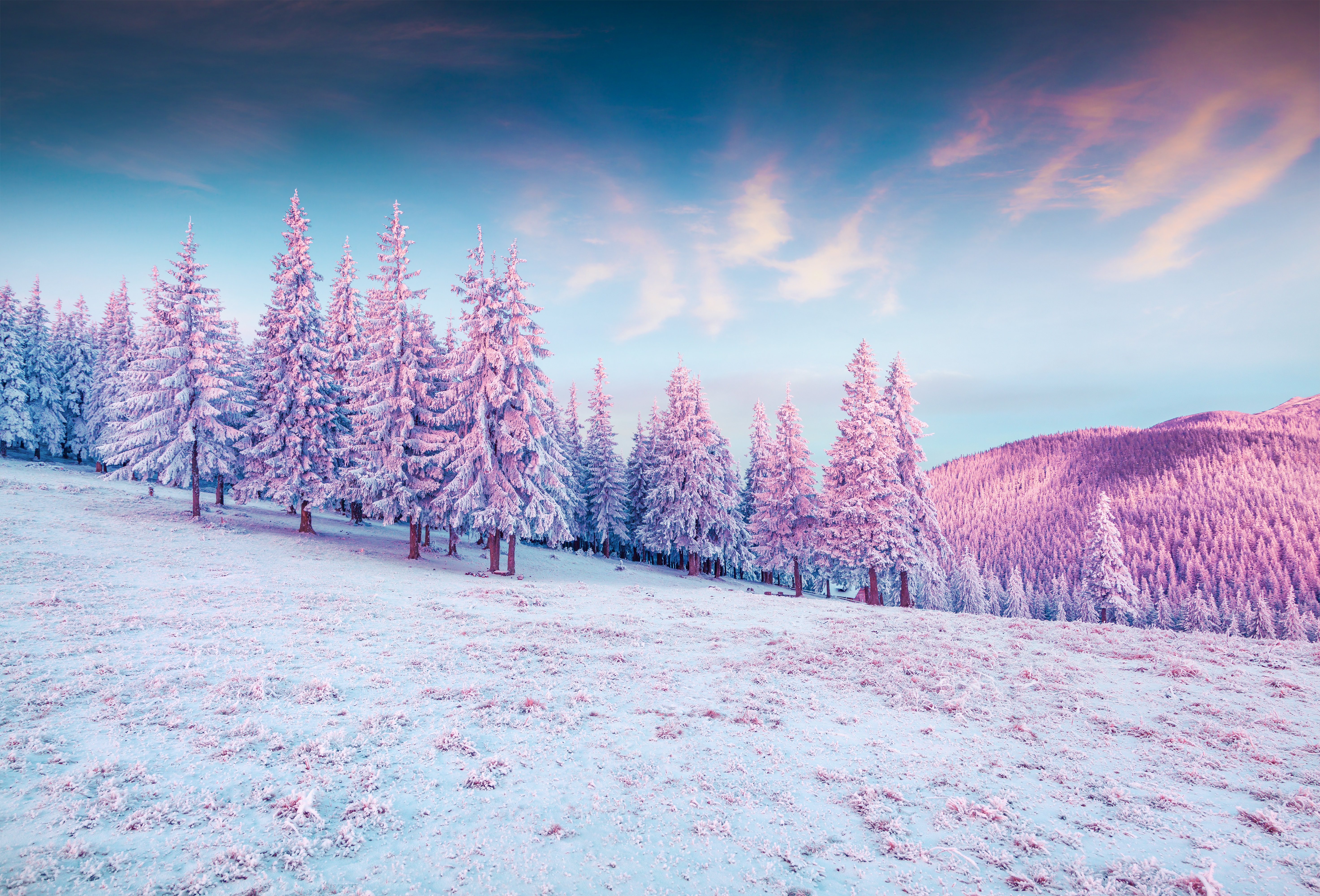 Pink Winter Wallpapers  Top Free Pink Winter Backgrounds  WallpaperAccess