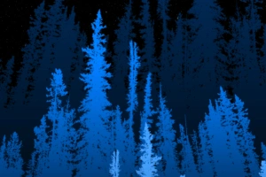 forest long blue trees 4k 1653331116 300x200 - Forest Long Blue Trees 4k - Forest Long Blue Trees wallpapers, Forest Long Blue Trees 4k wallpapers